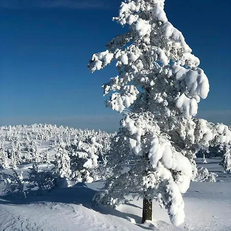 Mountain By Trails In Southern Blefjell *