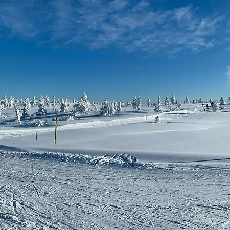 Mountain By Trails In Southern Blefjell Dom wakacyjny *
