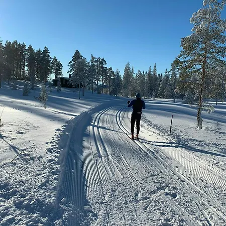 Dom wakacyjny Mountain By Trails In Southern Blefjell Kongsberg