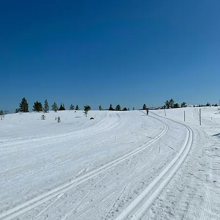 Mountain By Trails In Southern Blefjell Dom wakacyjny *