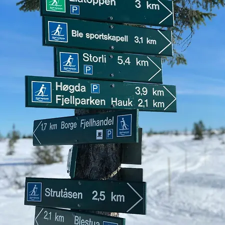 Mountain By Trails In Southern Blefjell *
