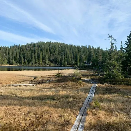 Dom wakacyjny Mountain By Trails In Southern Blefjell